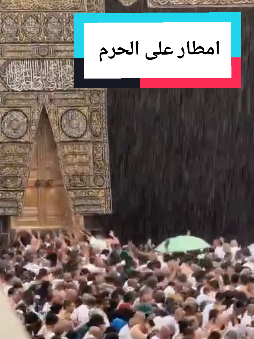 @سعود من المدينة Madinah 🇸🇦
