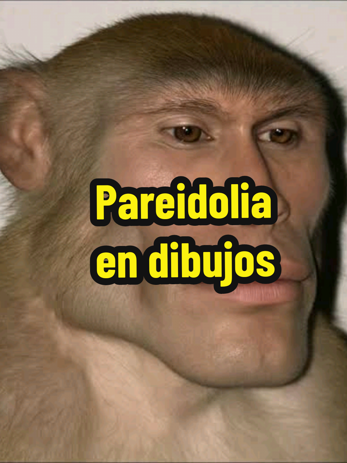 @TOX-CNP