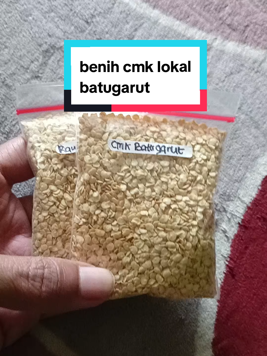 @koliang81
