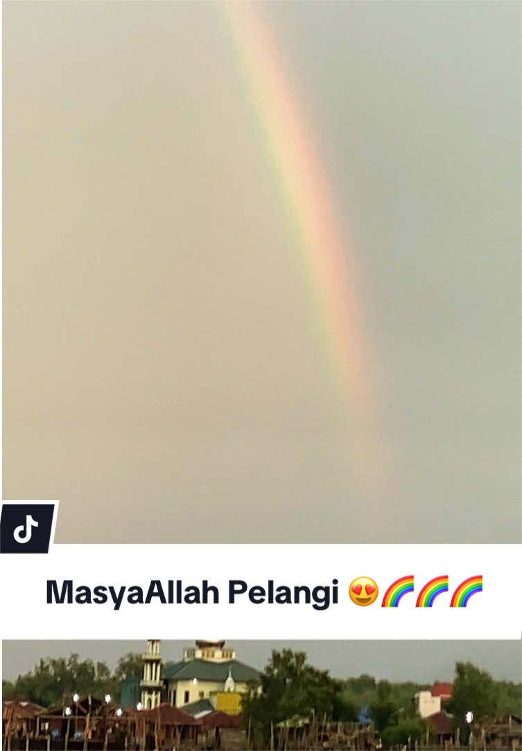 @PAPAY__YA