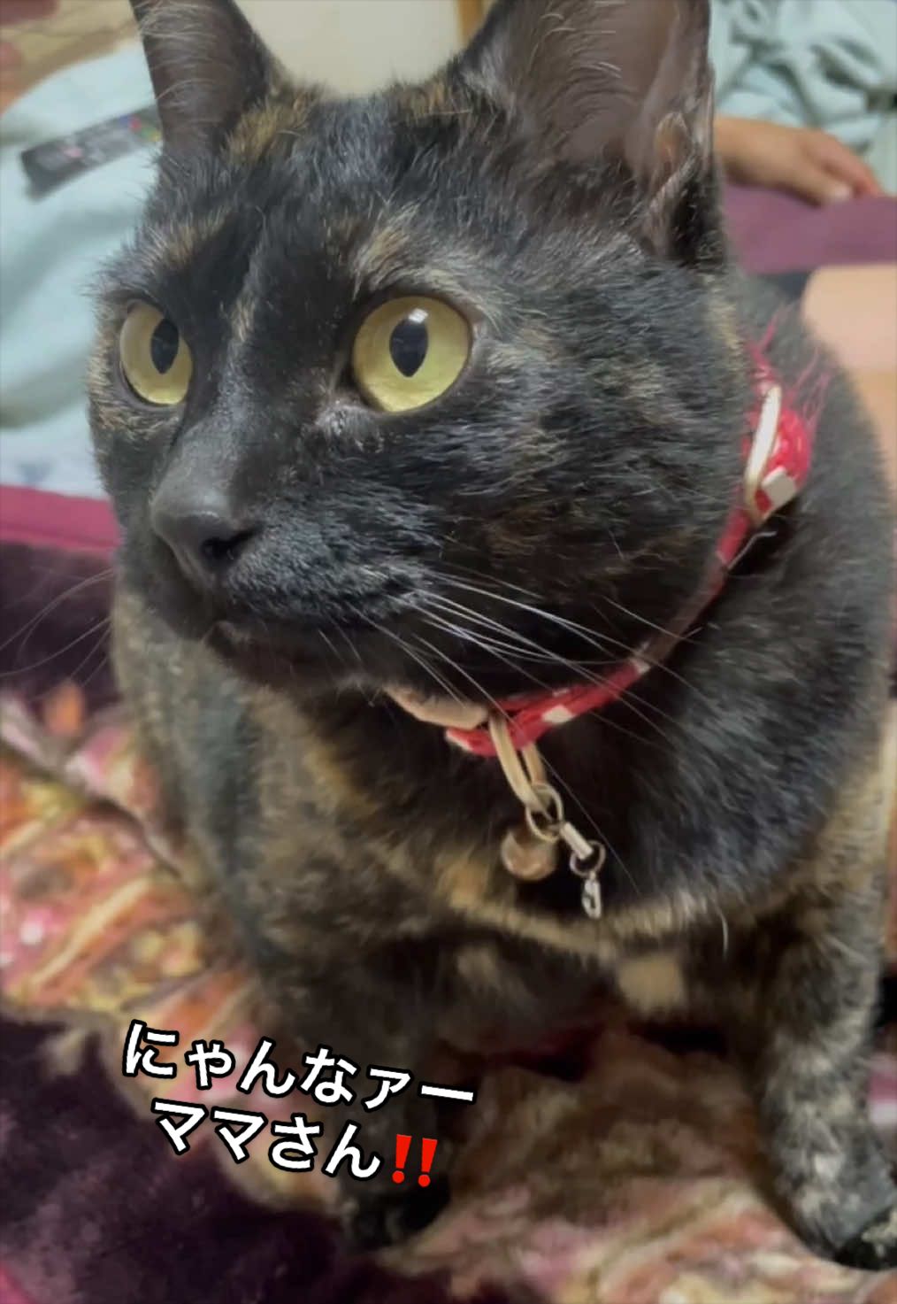 @聴々物語PROJECT