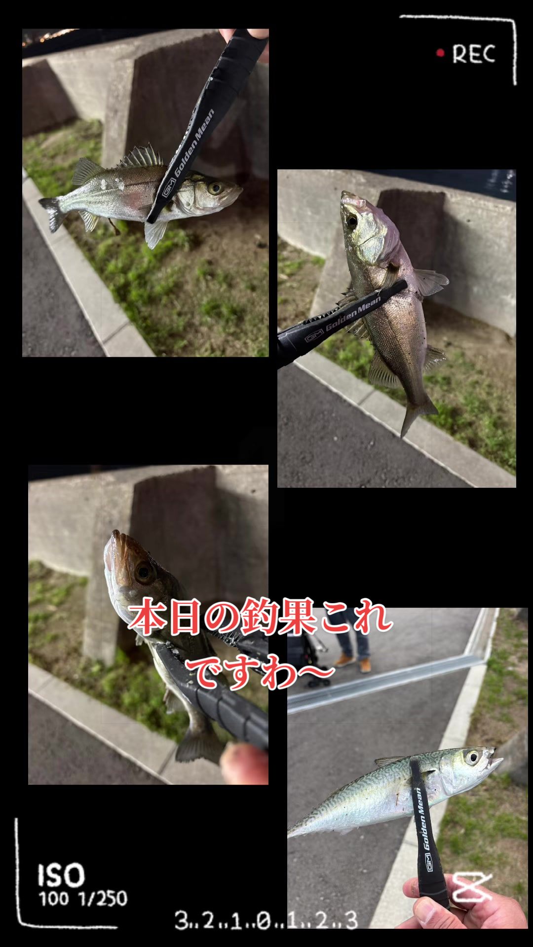@࿗༺ 𝓚𝓪𝓽𝓾𝔂𝓪  ༻࿘