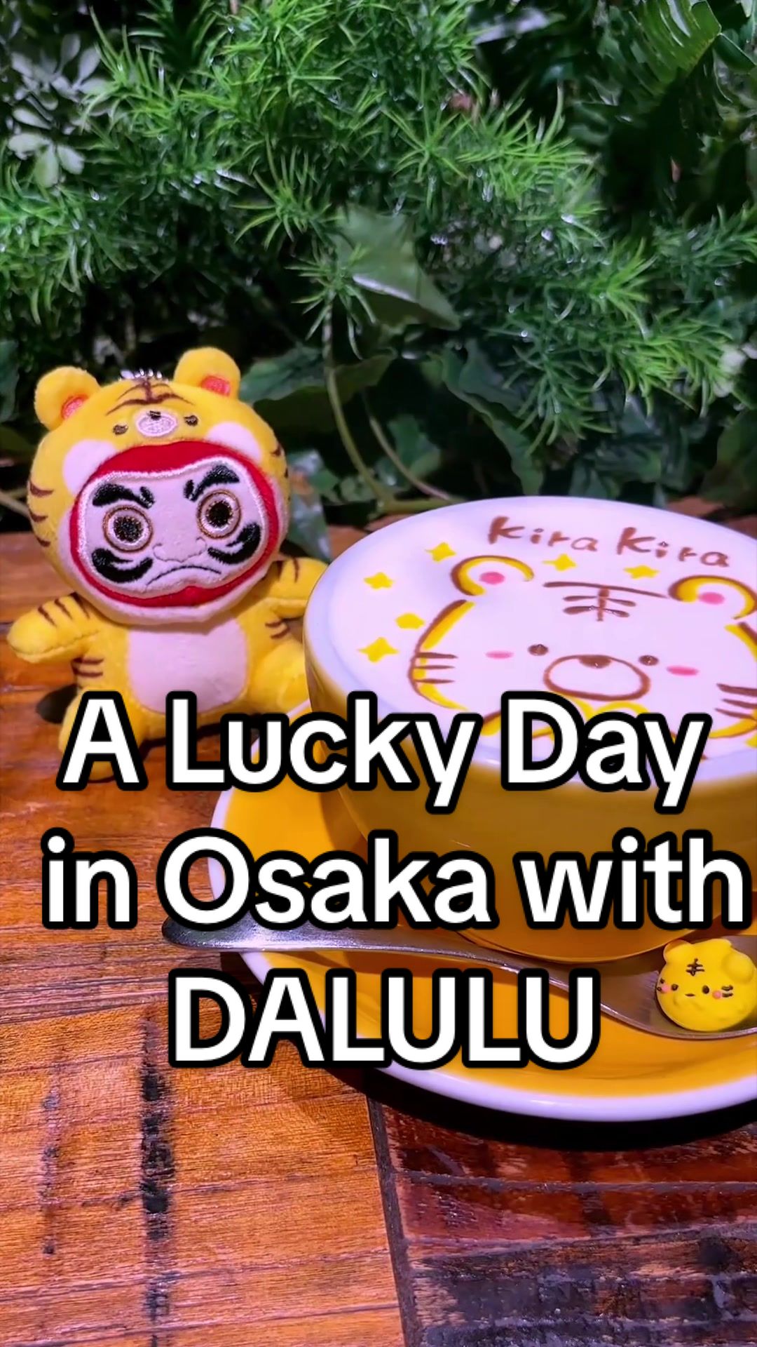 @Kira Kira Japan