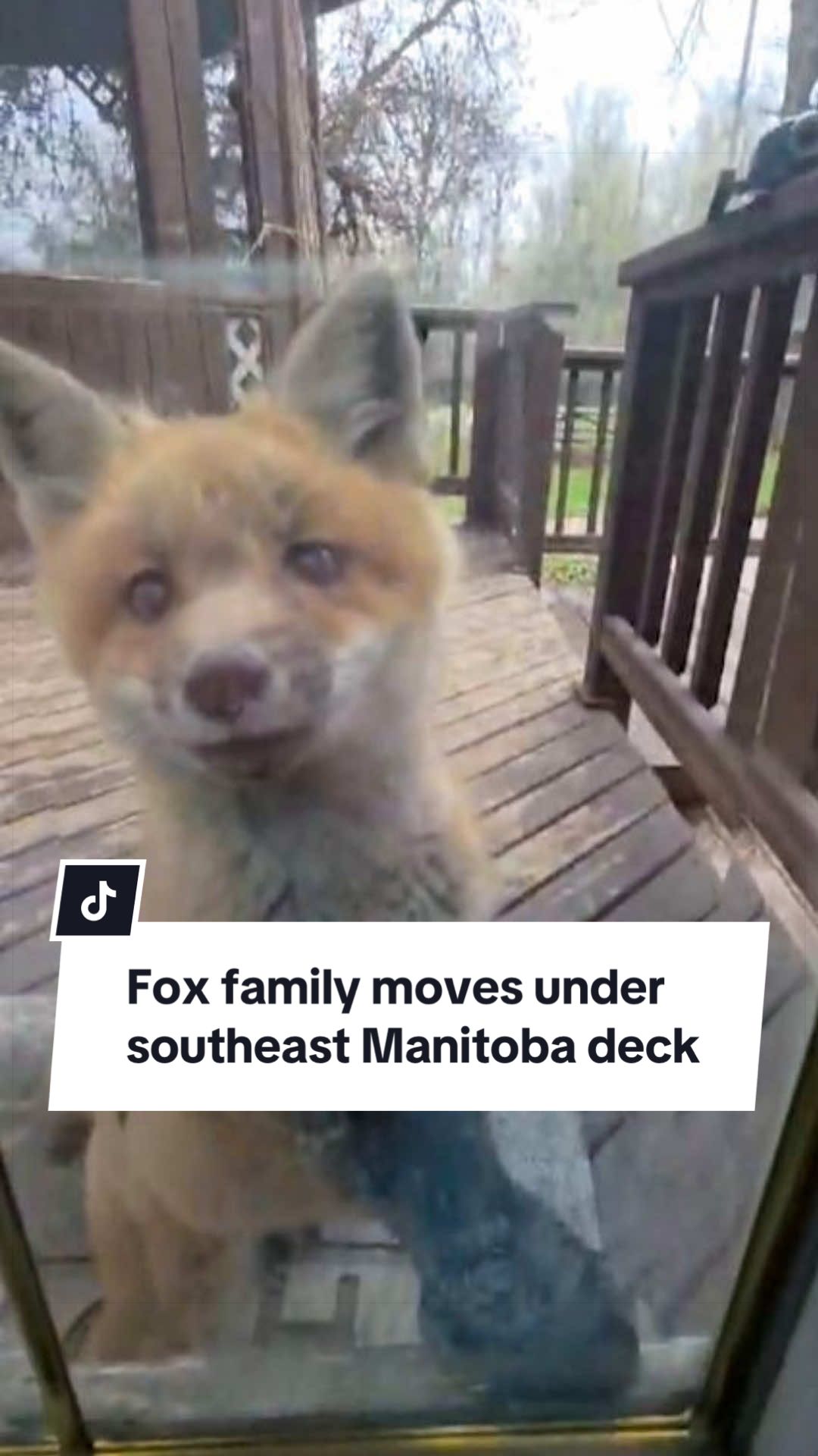 @CBC Manitoba