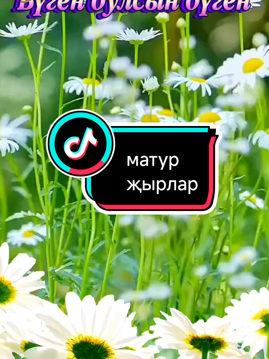 @💕☪татвидео открытки☪︎ 💕