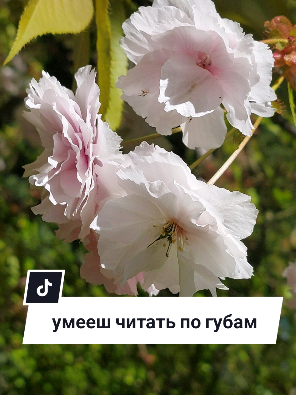 @Рыся✔️🇧🇾