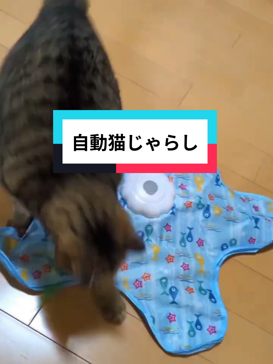 @桃色