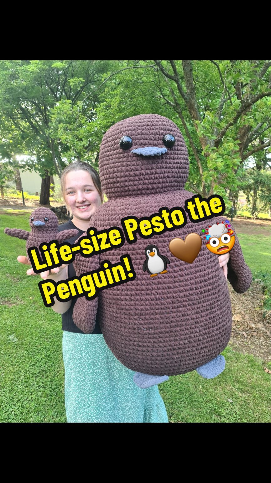 @Shania 🐧 Gippy Penguins