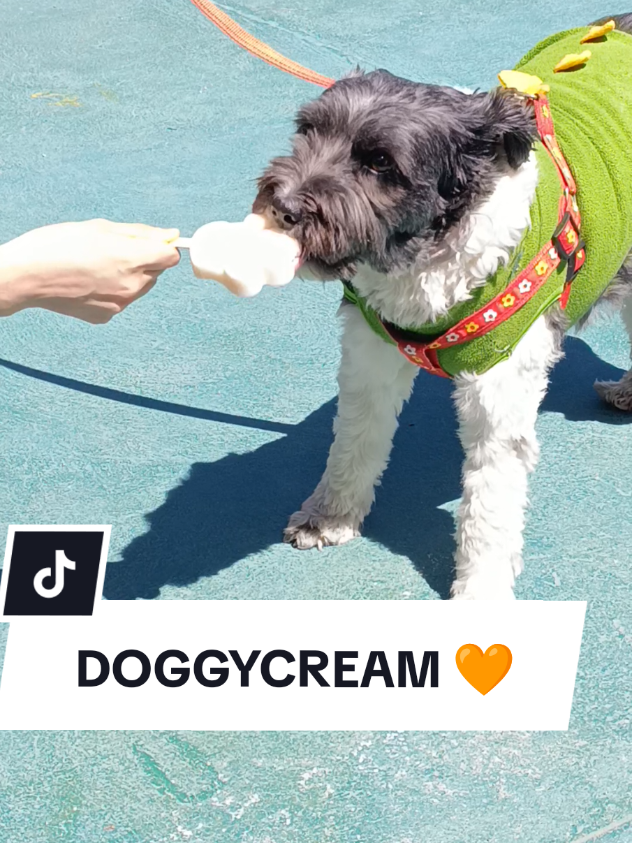 @Doggy Cream