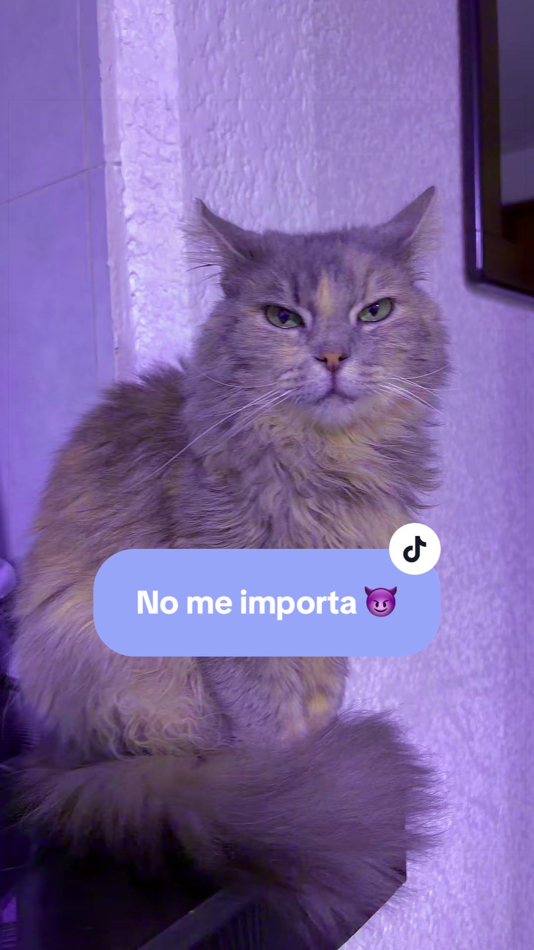 @Antony_13_Family_13