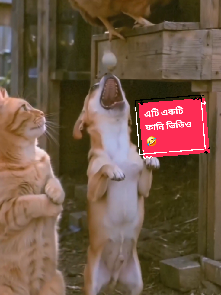 @অদৃশ্য মানব