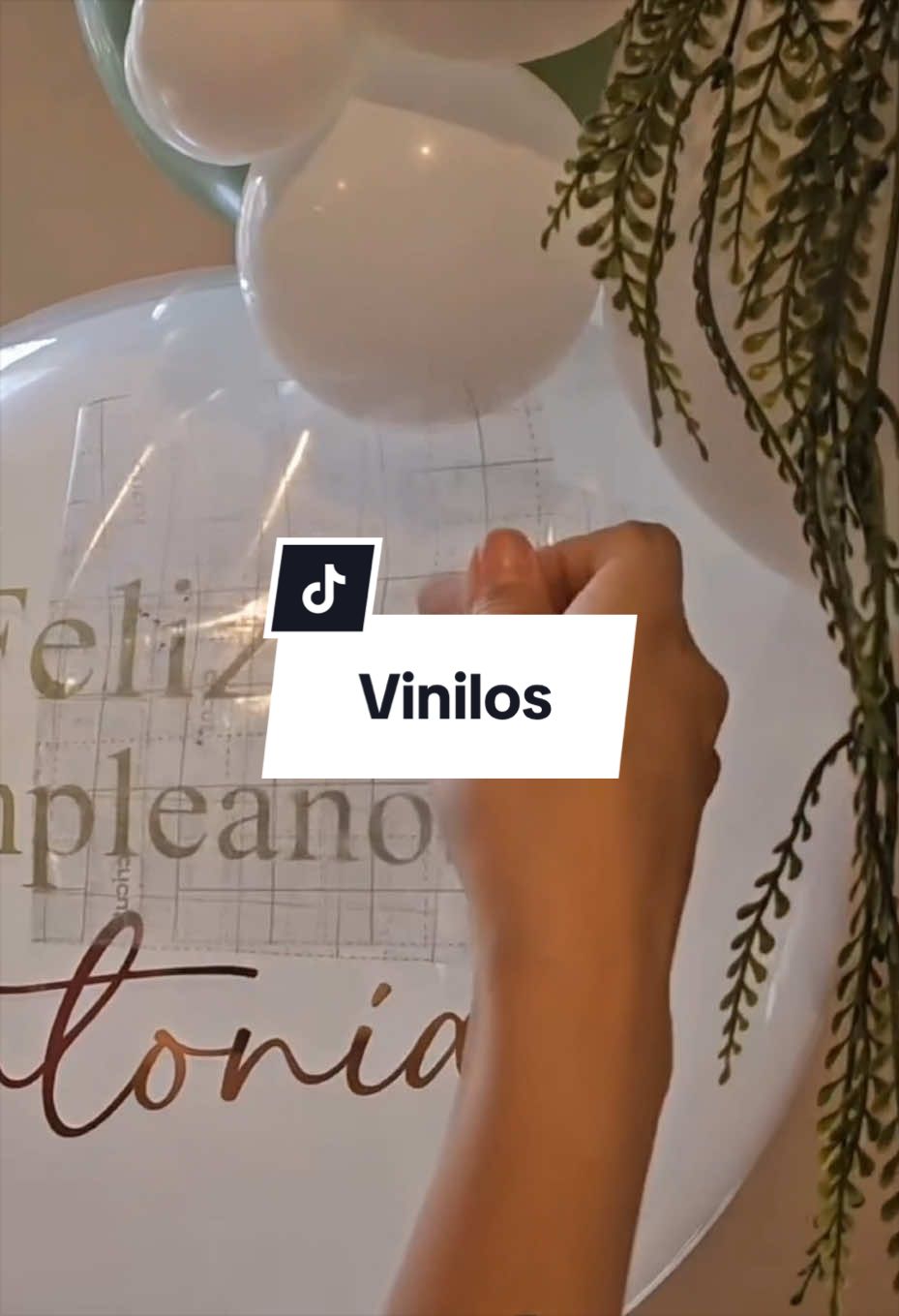 @boomerang.globo