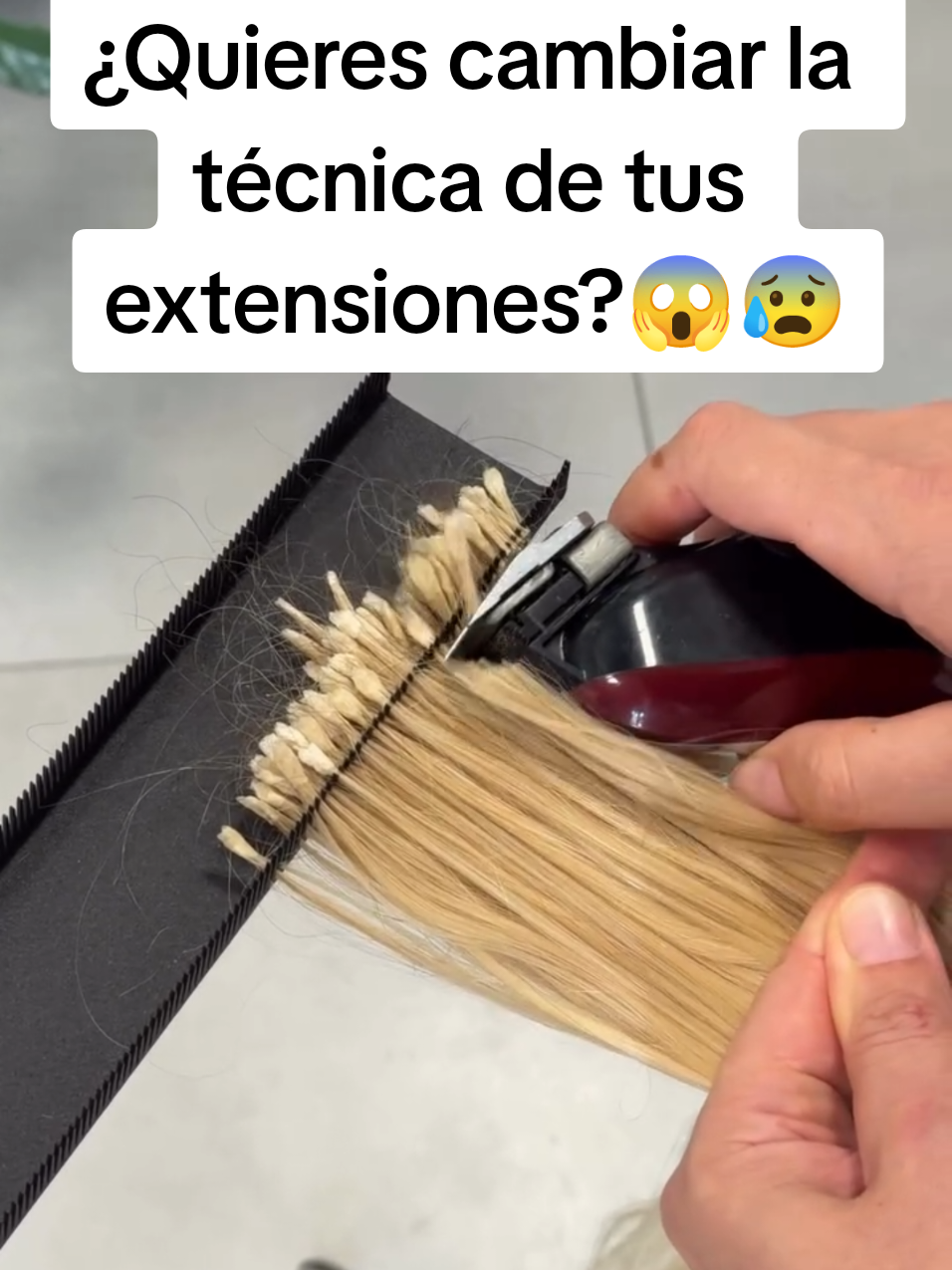 @Seminario Estetico
