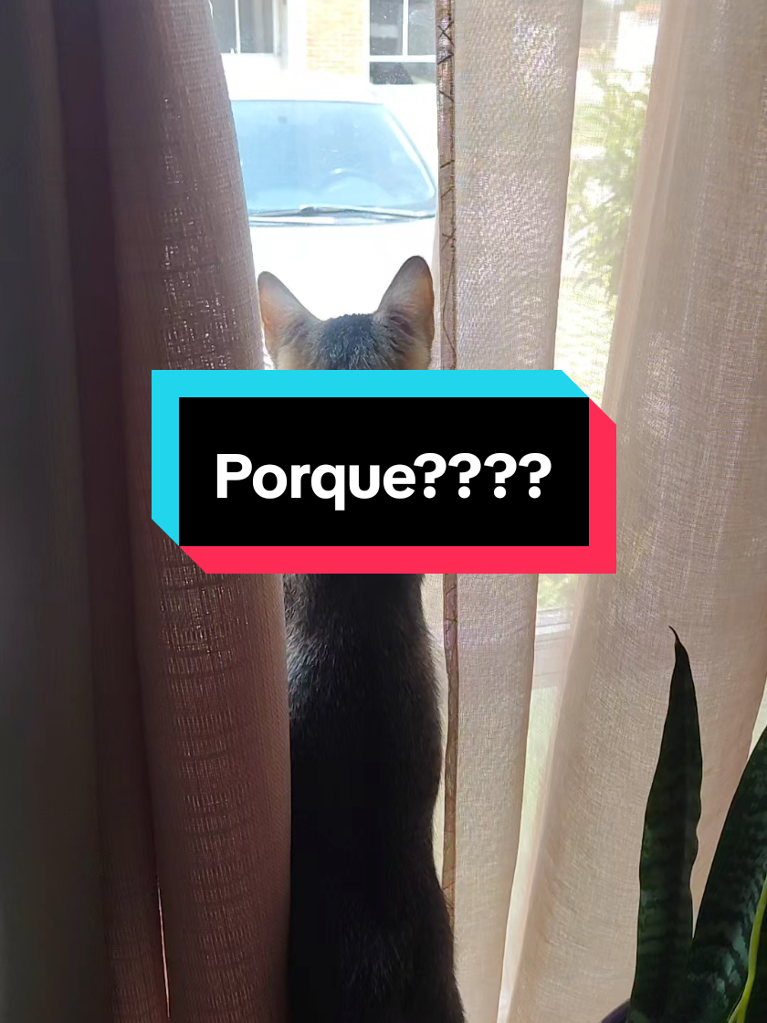 @Los MoyiKary Oficial