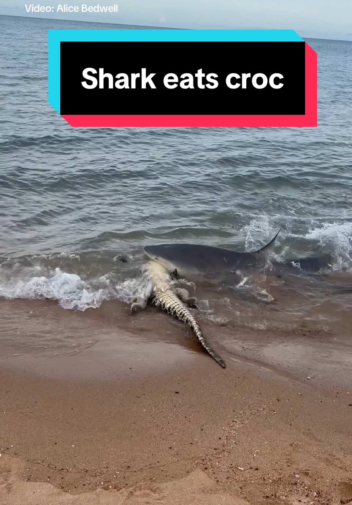 @thentnews