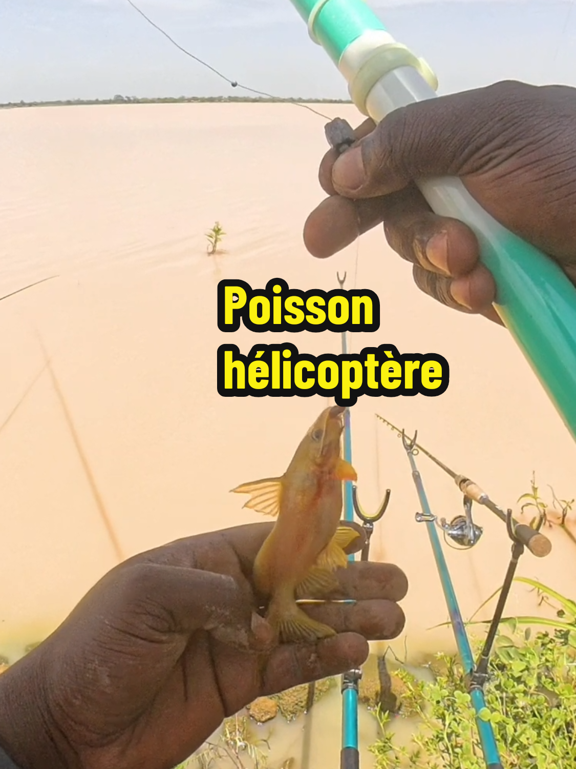 @La pêche par OGE 226