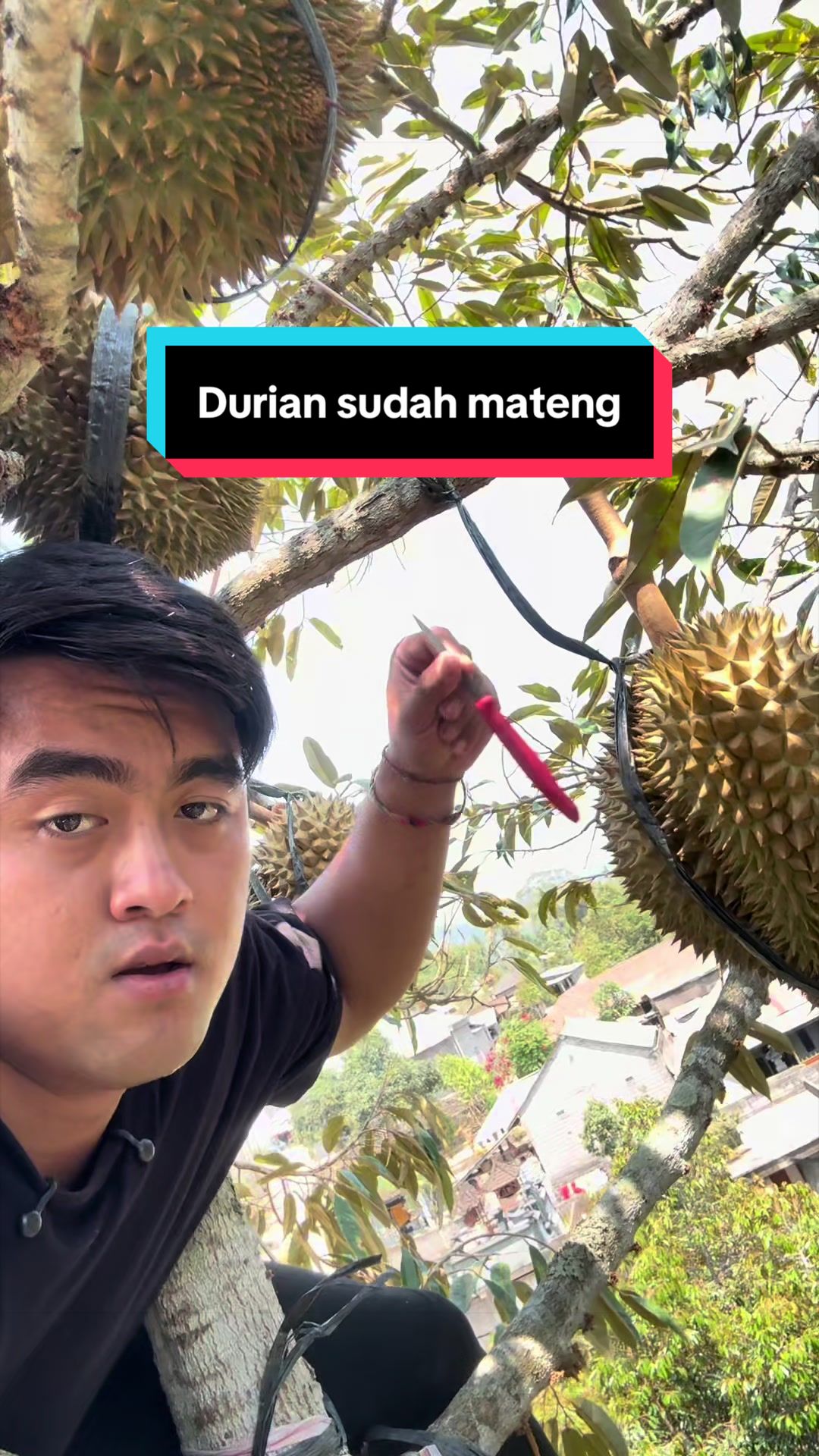 @Doni artawan