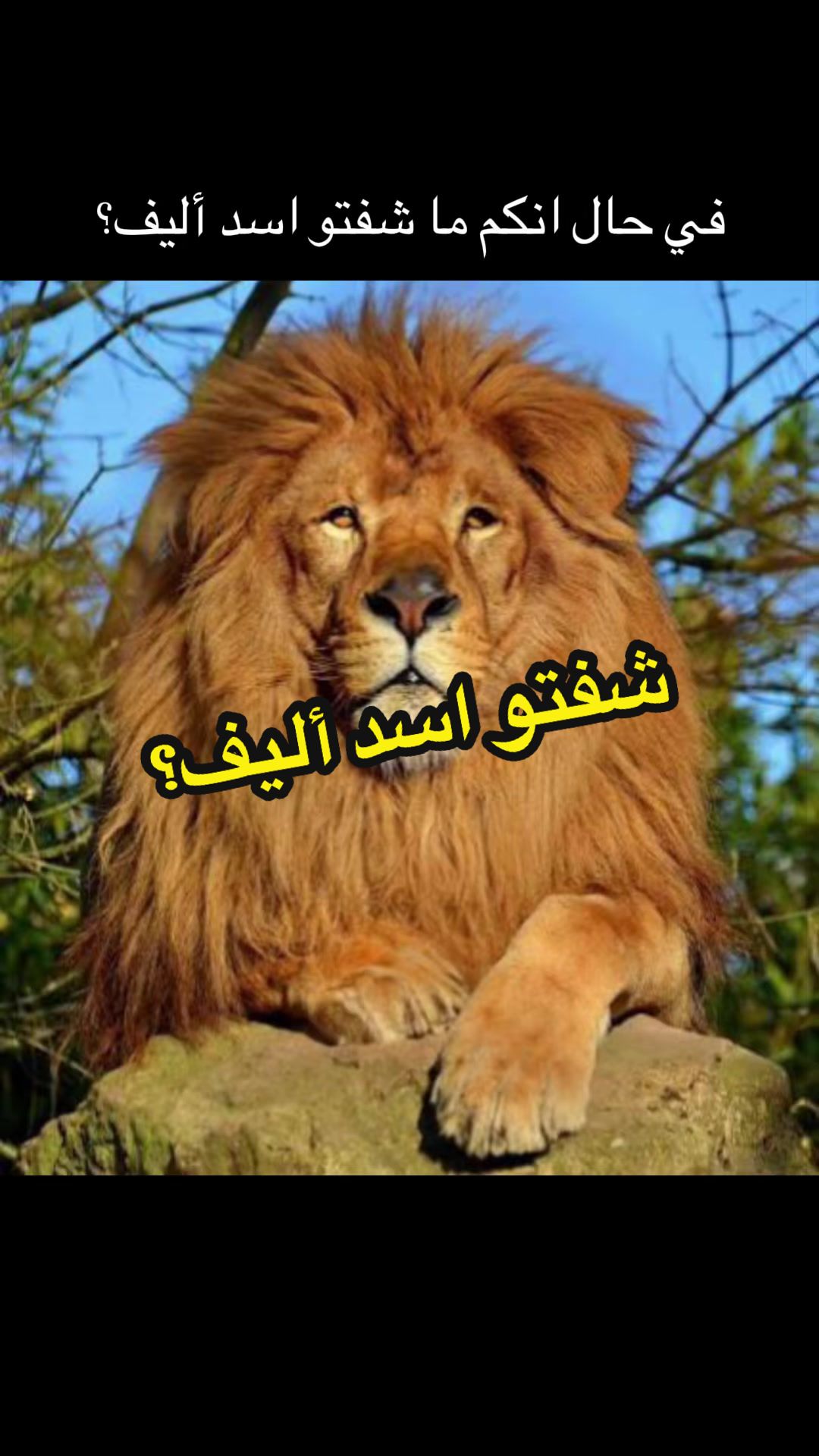 @Alliem Albukhari ๐ฉต