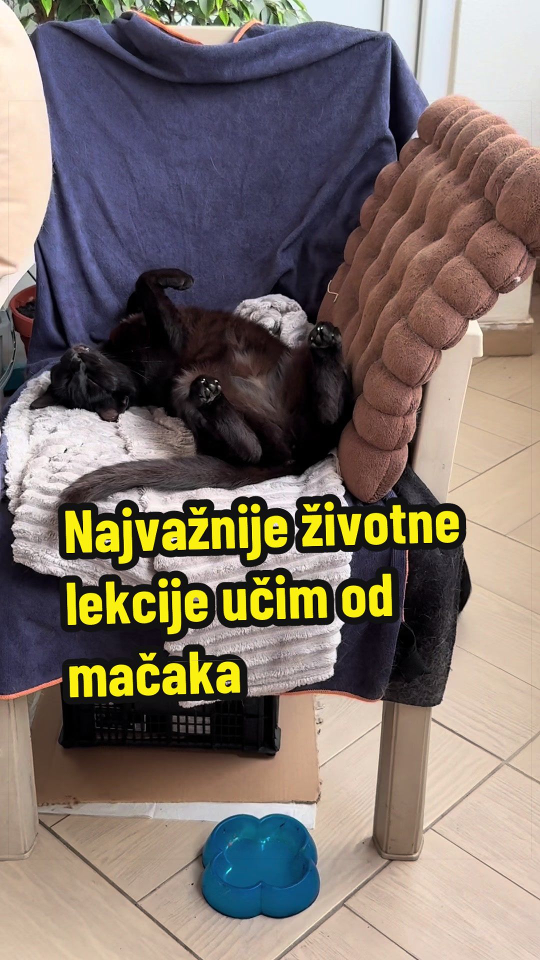@Maja Kovijanic