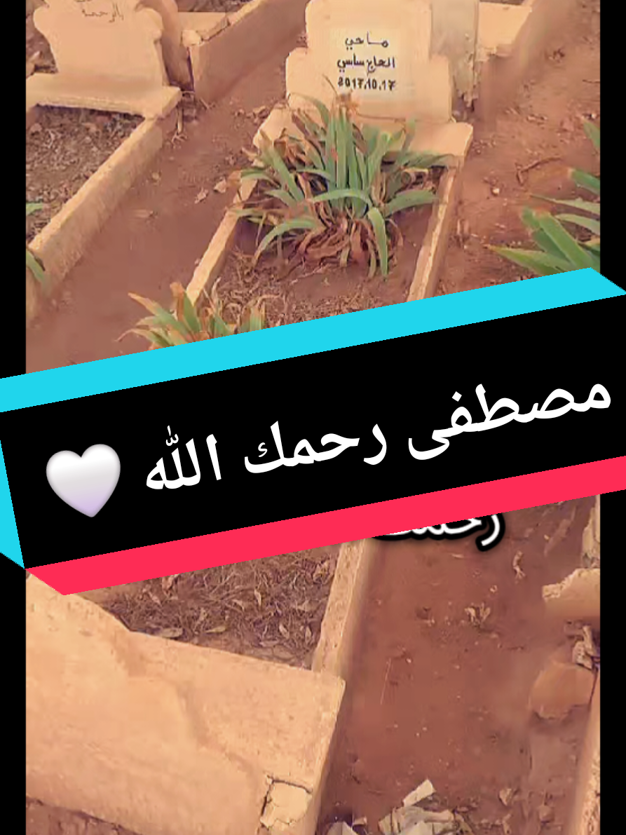 @Mohamed Amine Mahi