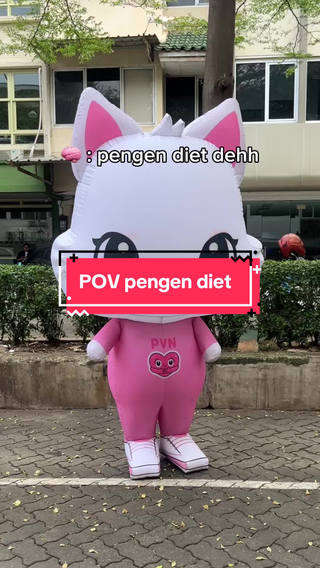 @pvnshoes