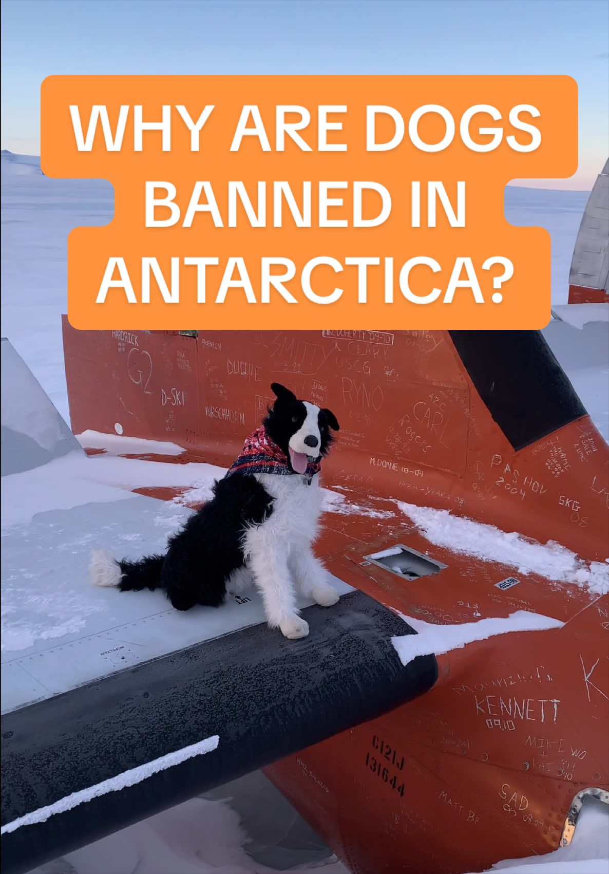 @Matty Jordan | Antarctica