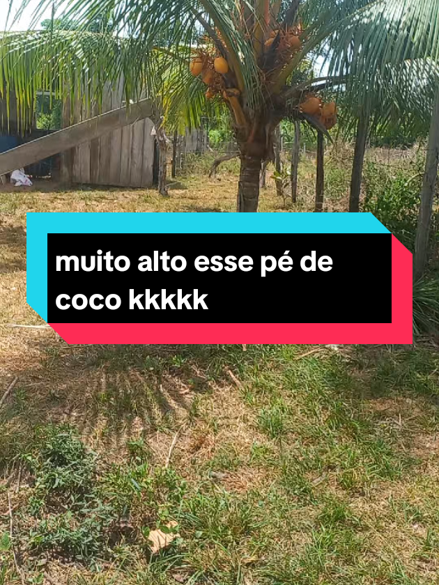 @menina do interior