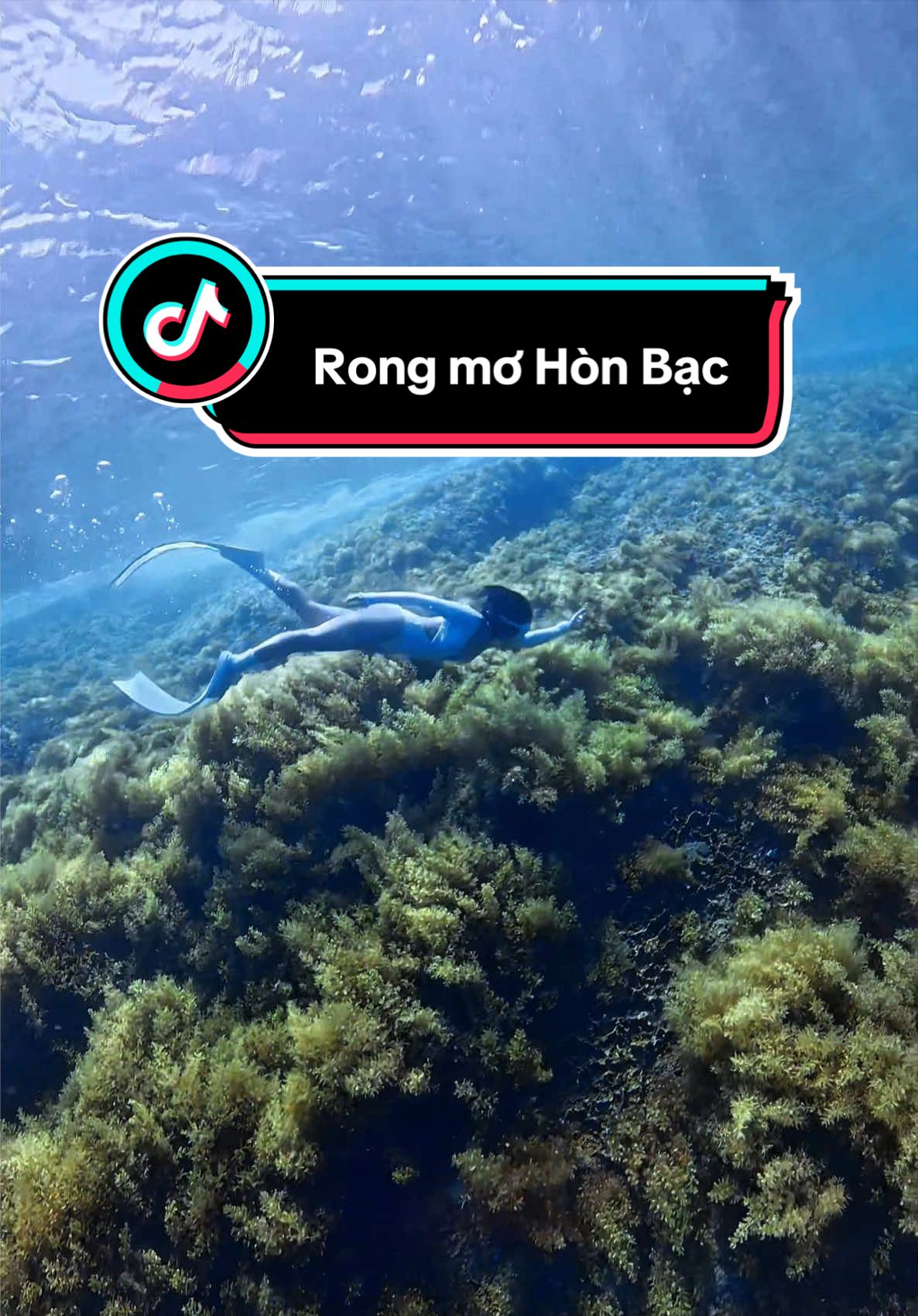 @Love Freediving Nha Trang