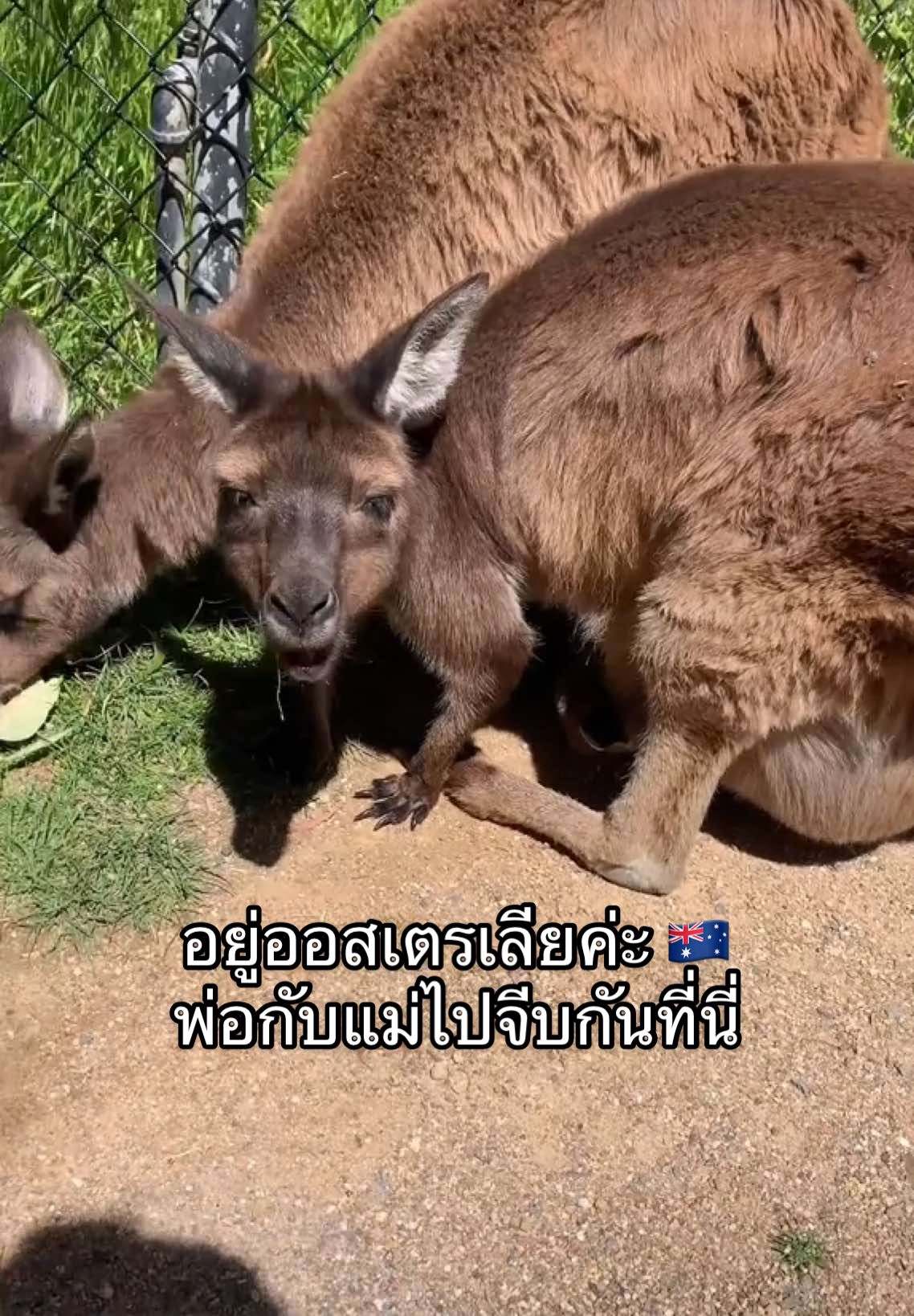 @อยู่ออสเตรเลียค่ะ by นานะ
