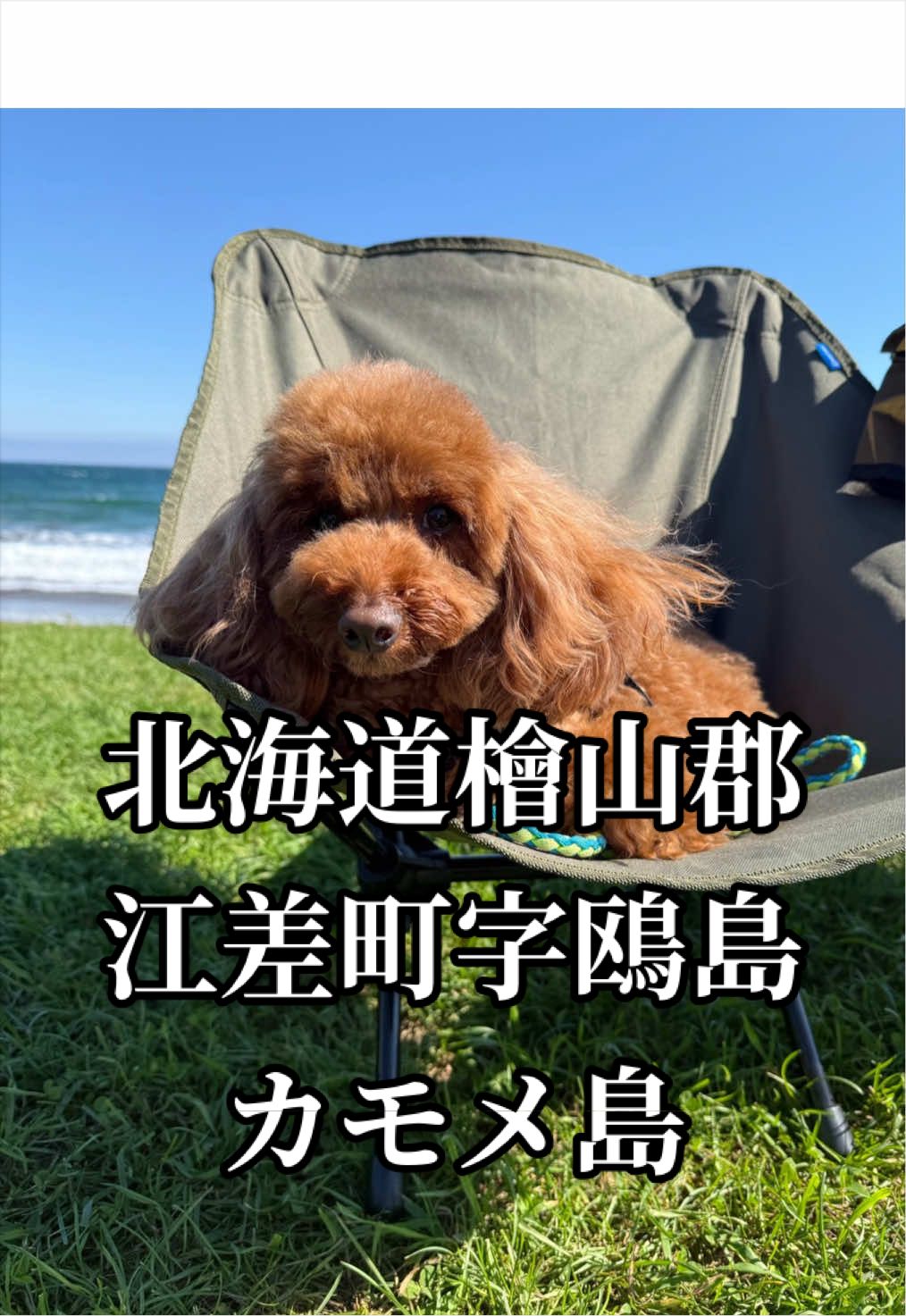 @テディきち