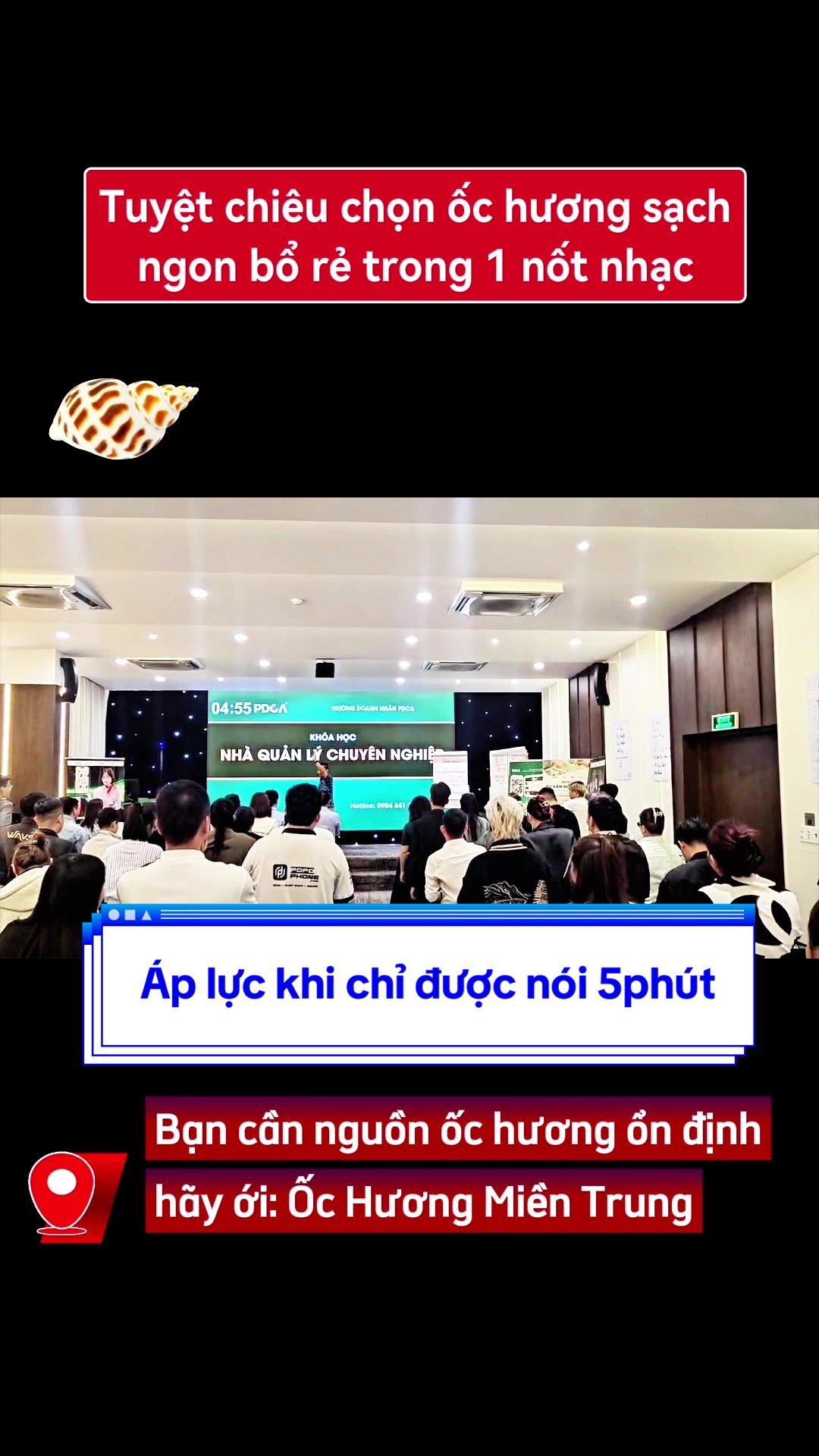 @Mr Qu&acirc;n