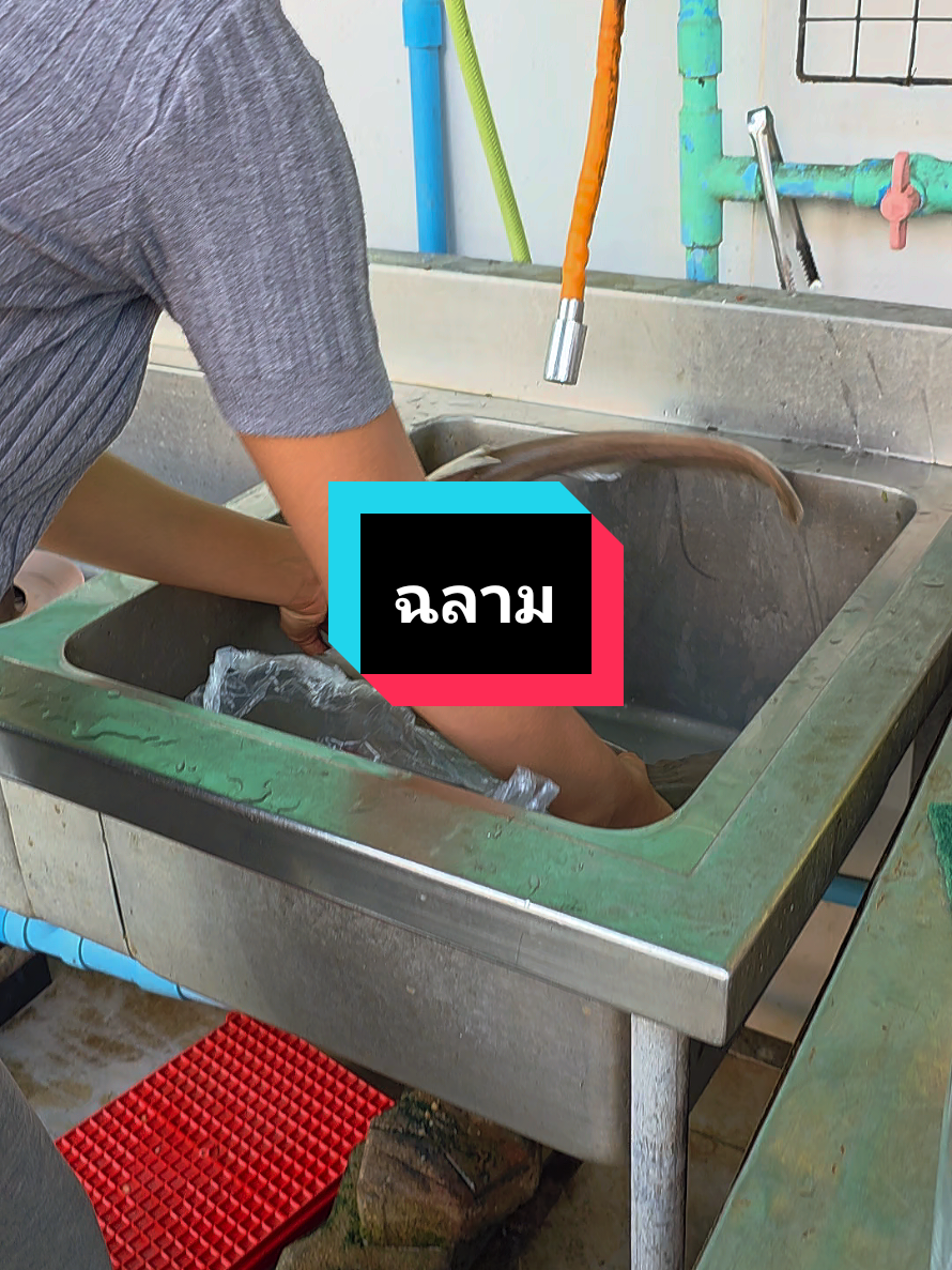 @ครัวโต้รุ่ง บางแสน