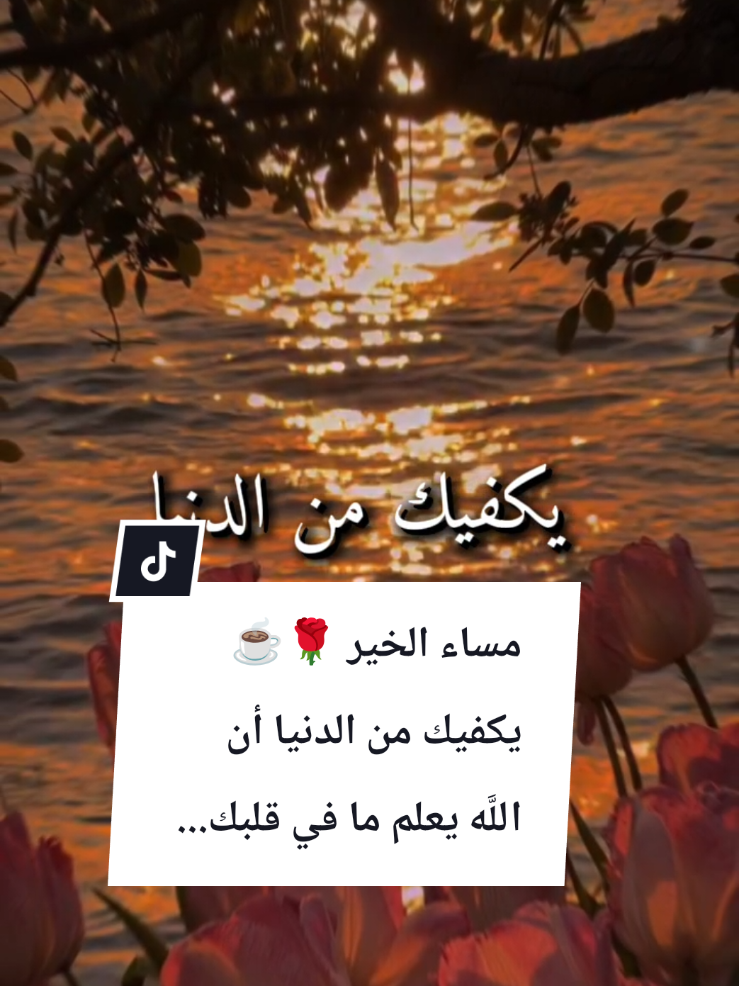@🌟𝗦𝗼𝘂𝘇𝗮𝗻 𝗖𝗵𝗮𝗺𝘀