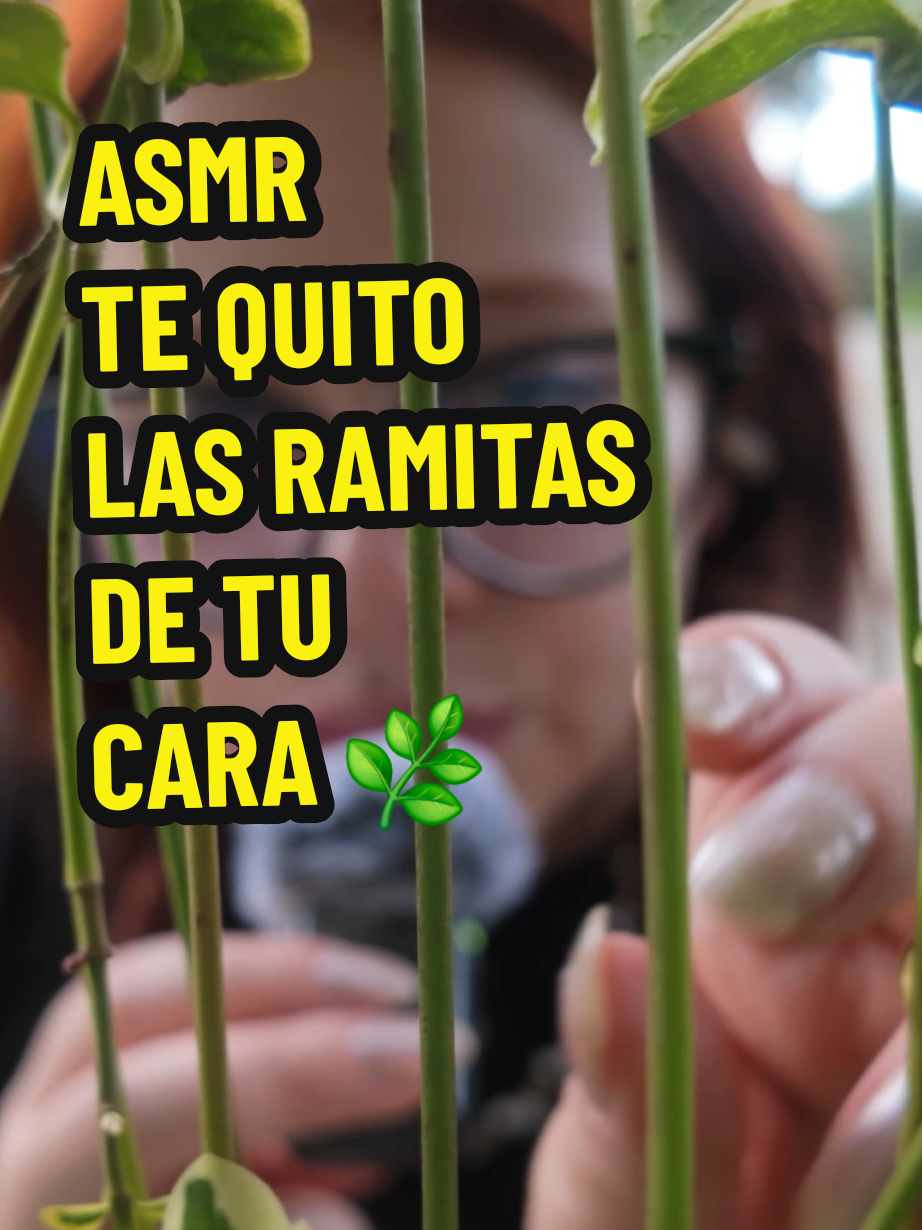 @Vivalen ASMR