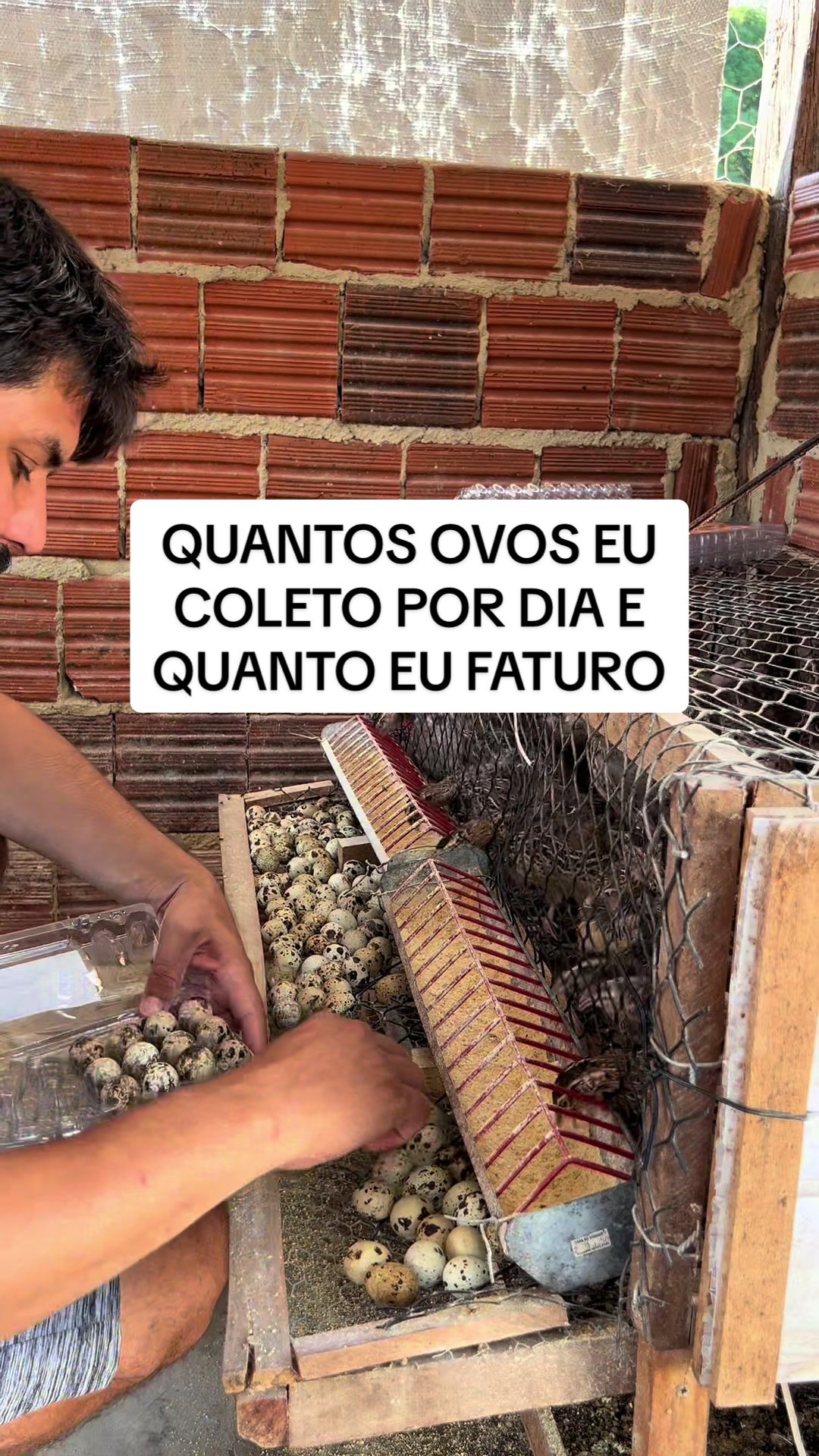 @souza