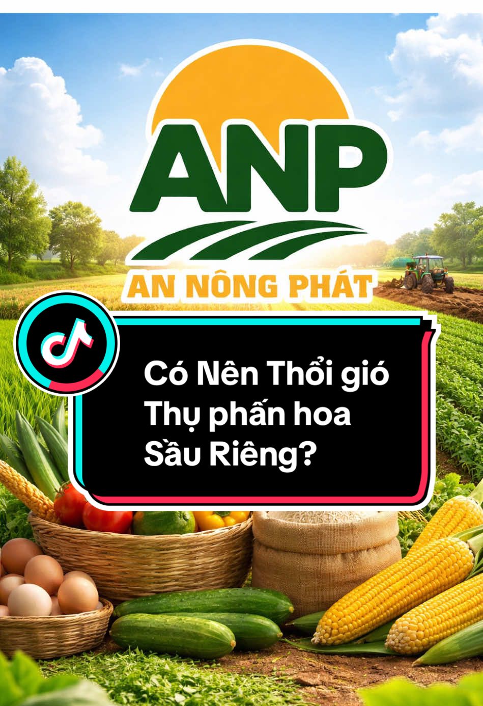@H&acirc;n chuy&ecirc;n b&aacute;n ph&acirc;n thuốc