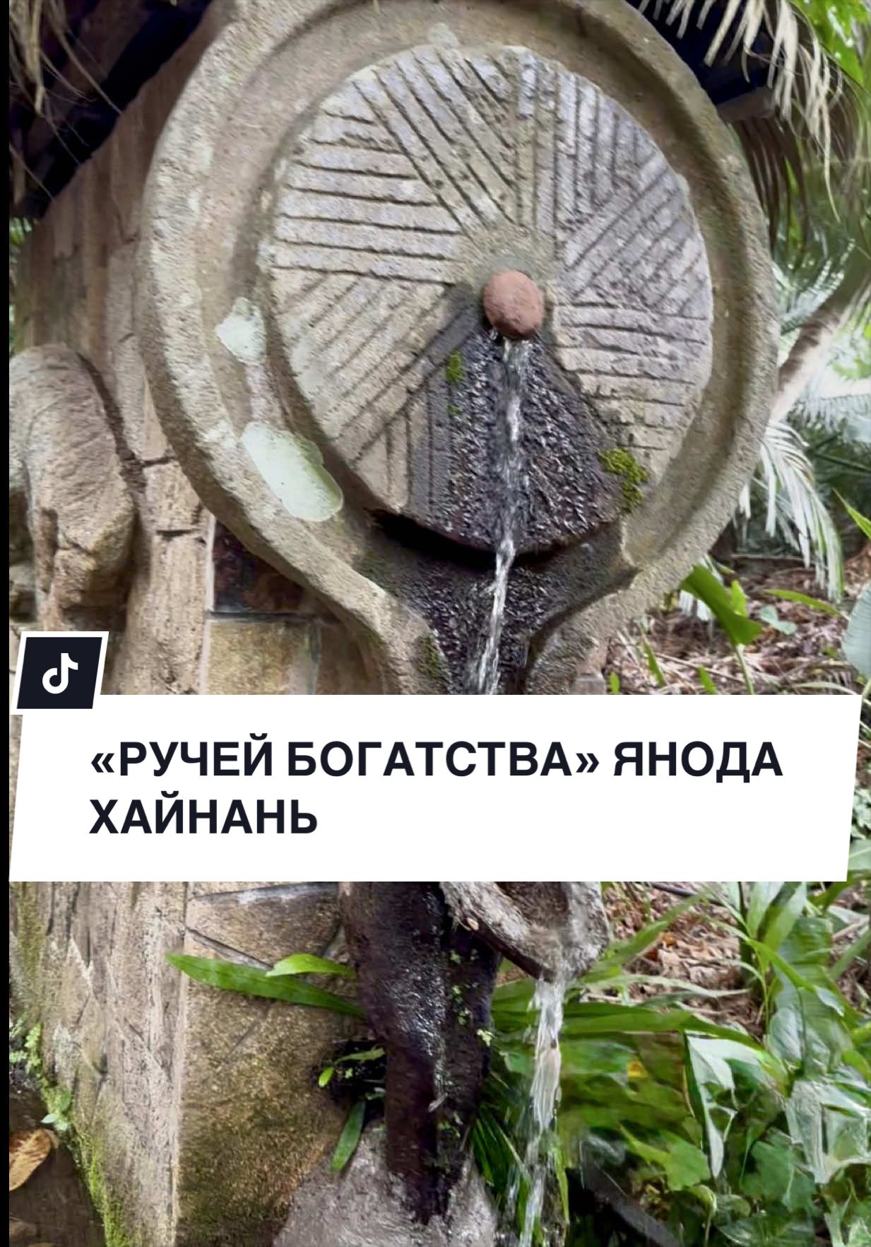@NASI