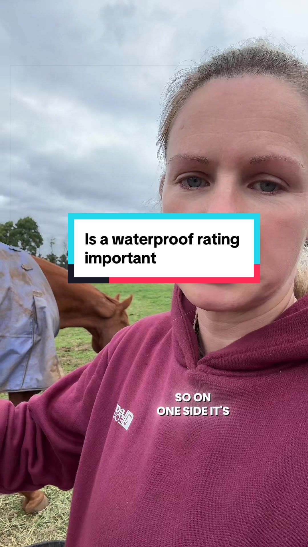 @Leader Equine