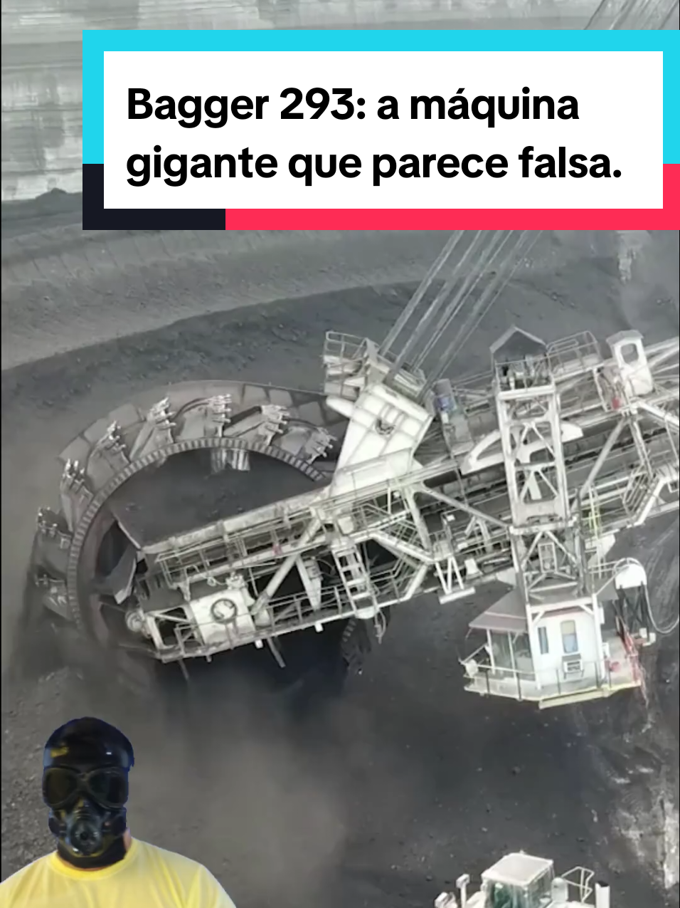 @Mundo da Curiosidades