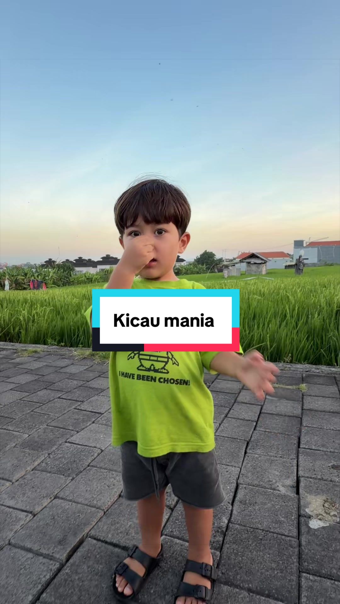 @Vanialong