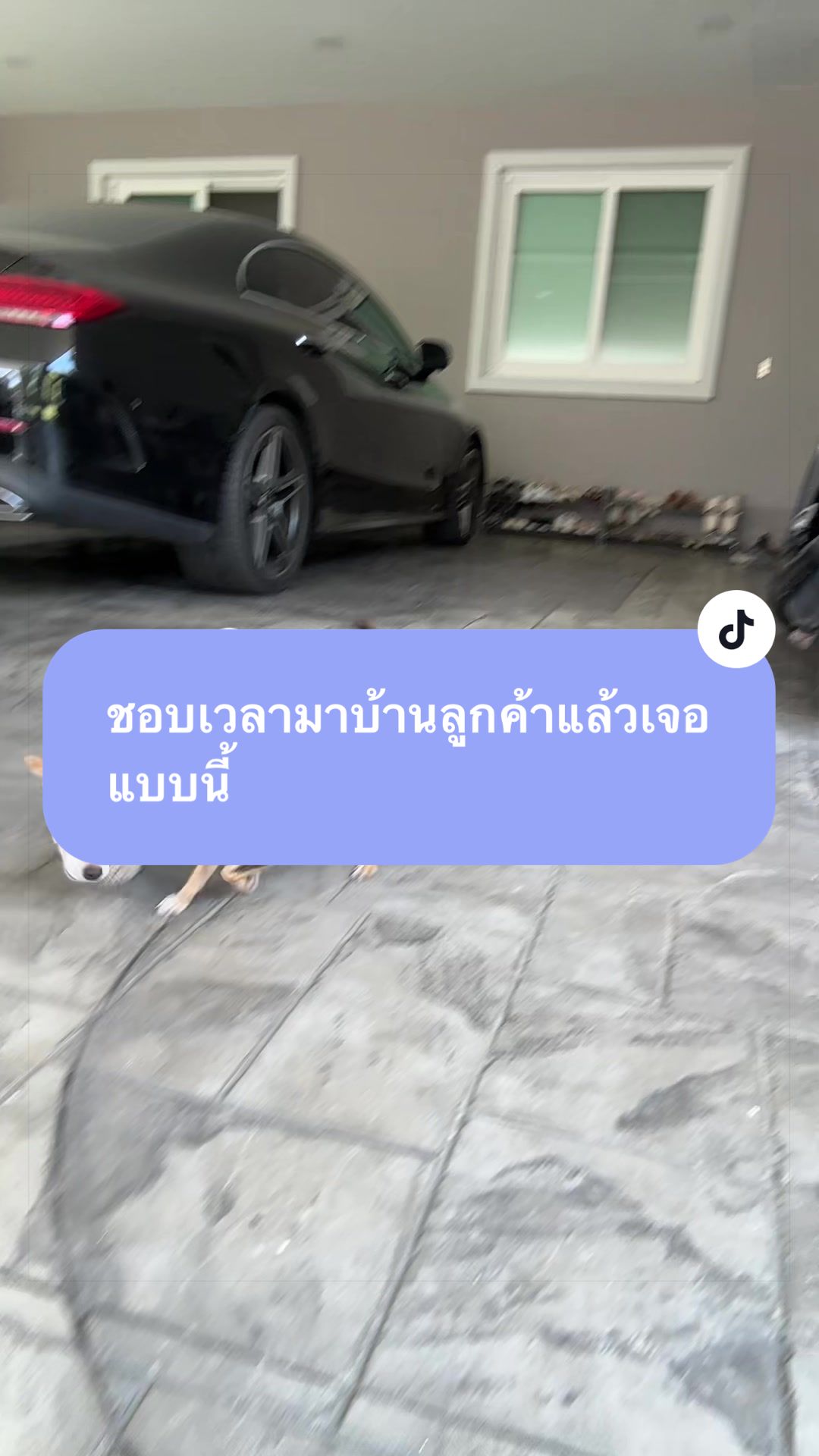 @จิ๊บเฉยๆที่ขายรถยุโรป