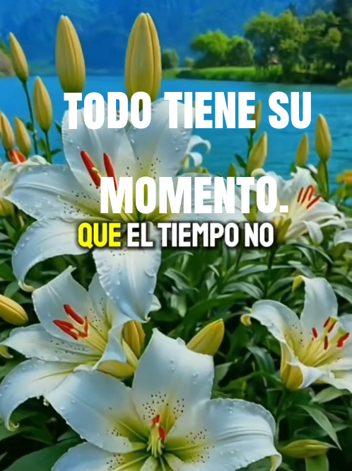 @Herminia Gonz&aacute;lez.