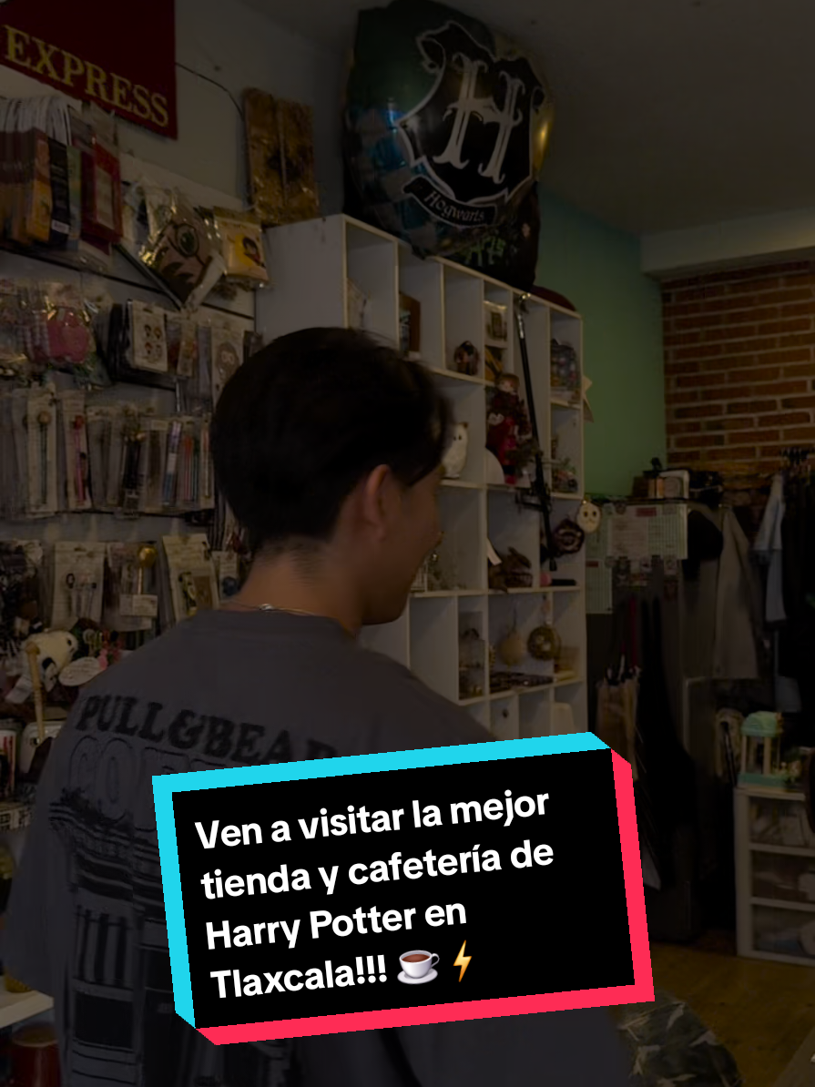 @Magos_y_Muggles