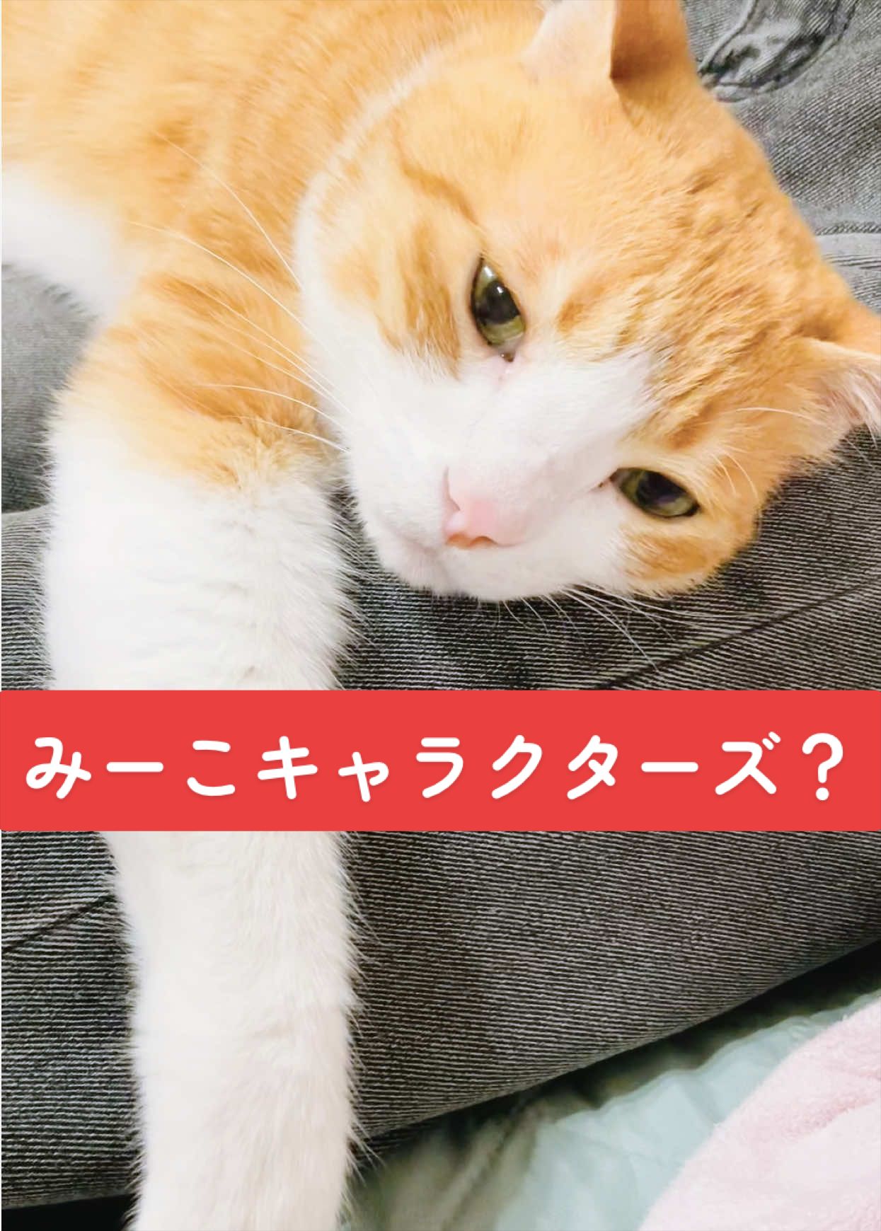 @みーこchannel