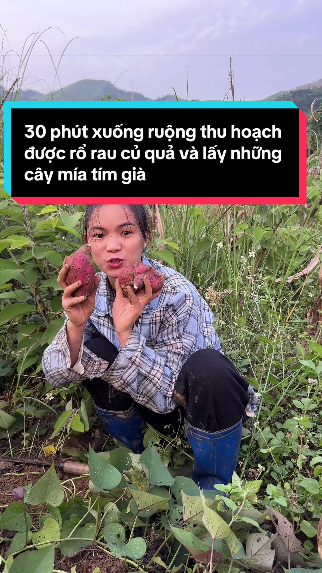 @Nhi Dao Đỏ