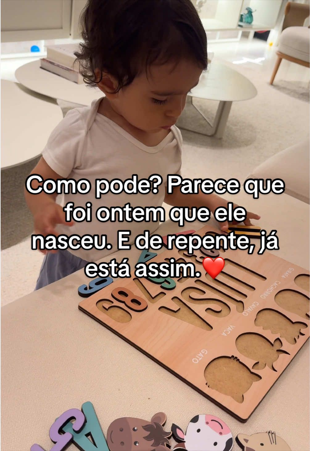 @Maria Julia Mendonça