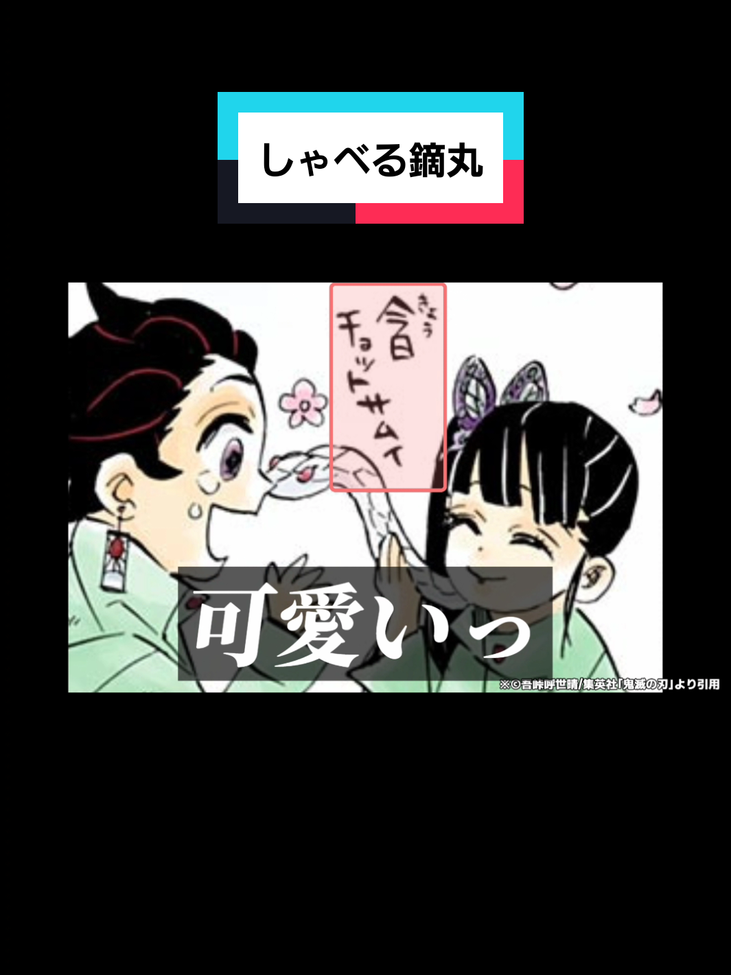 @がじゅまるチャンネル@共感クリエイター