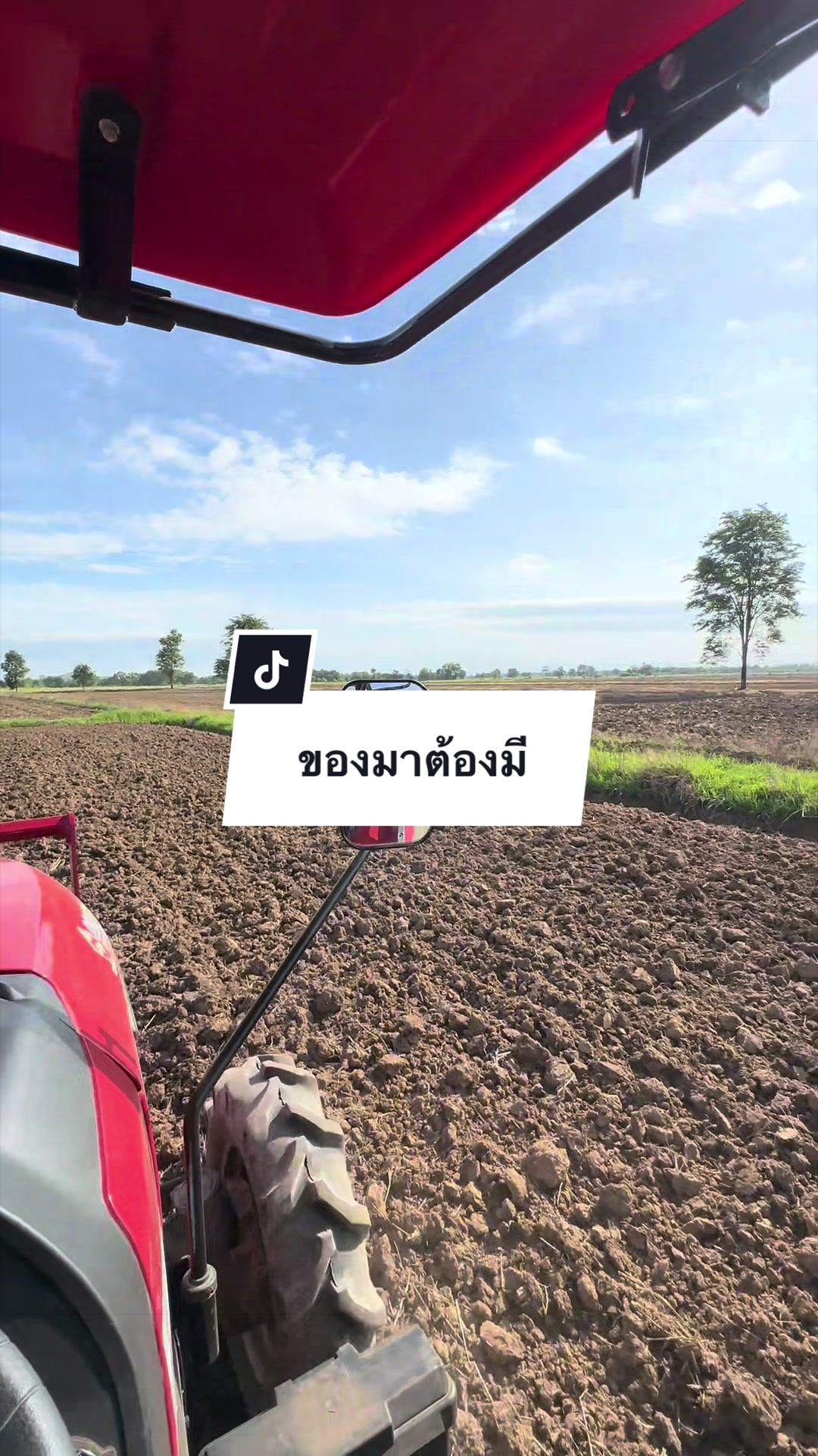 @อาเฮียหลี อาหลีเฮีย