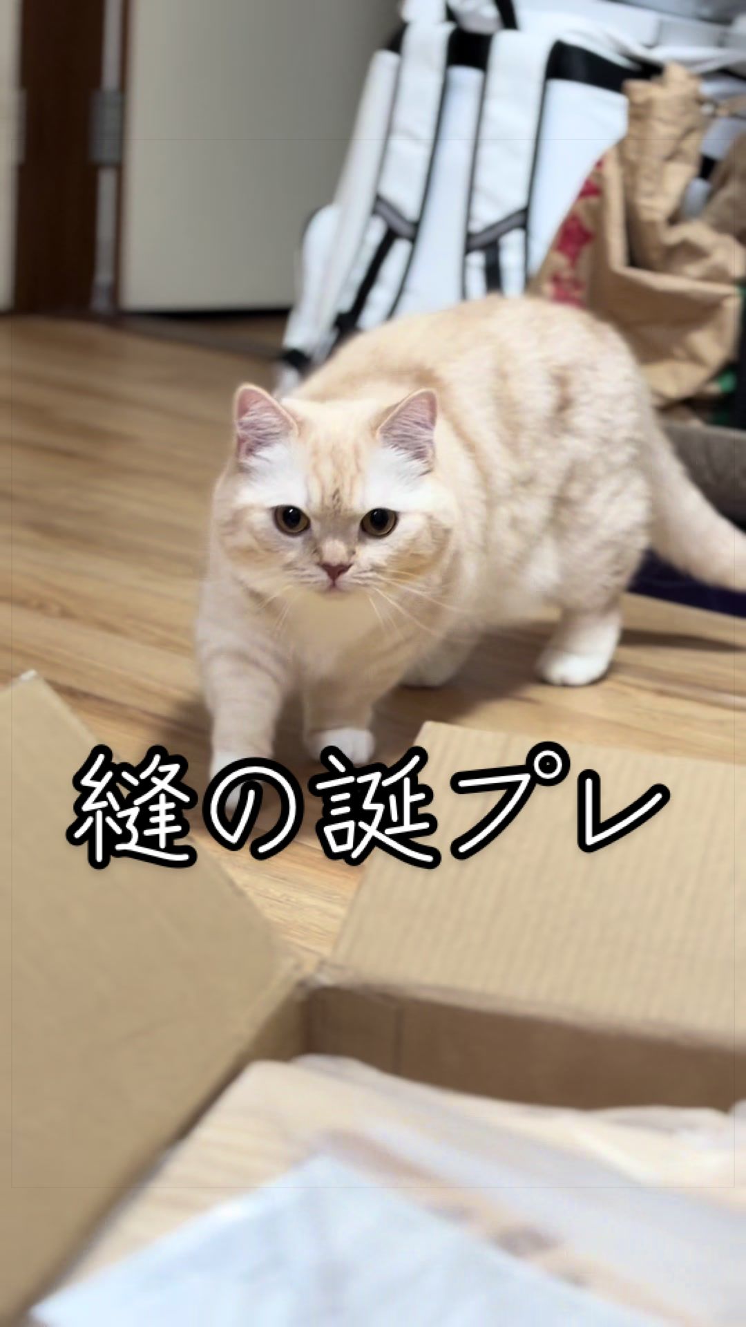 @縫くんと私