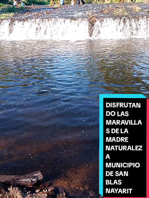 @Eliseo López